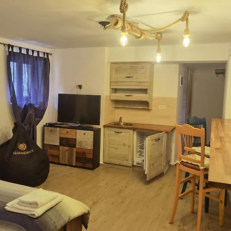 Vila Ines Sinaia Habitación foto